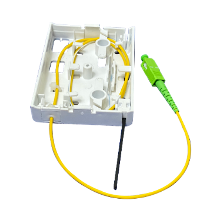 ROSETA - PUNTO DE TERMINACIÓN ÓPTICA 5