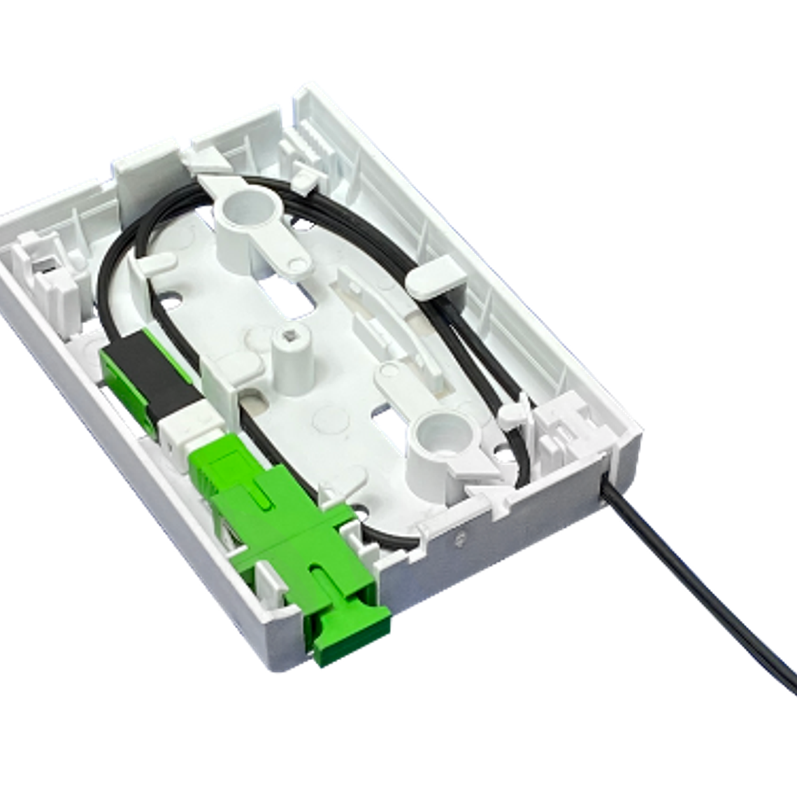 ROSETA - PUNTO DE TERMINACIÓN ÓPTICA 4