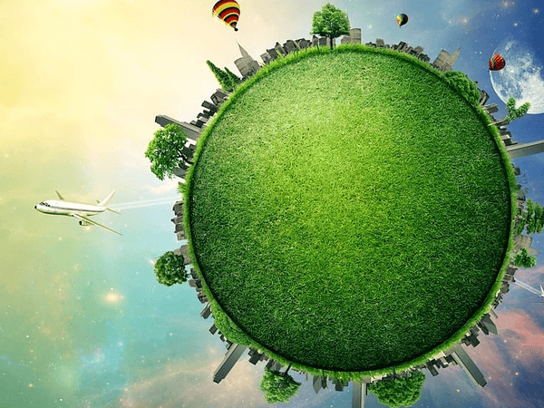 6 propósitos sostenibles para año nuevo