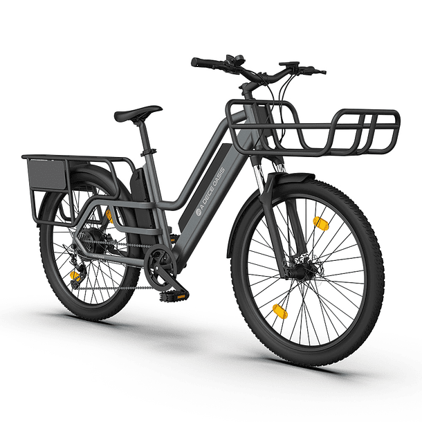 E-Bike Delivery O260T 3