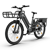 E-Bike Delivery O260T