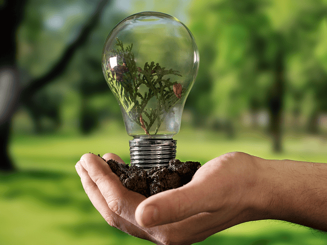 Día Mundial del Ahorro de Energía: importancia y consejos