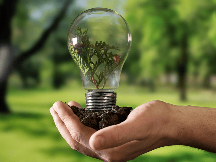 Día Mundial del Ahorro de Energía: importancia y consejos