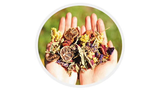 E.Qi.Librium Herbs by Min Tong Pharmaceutical