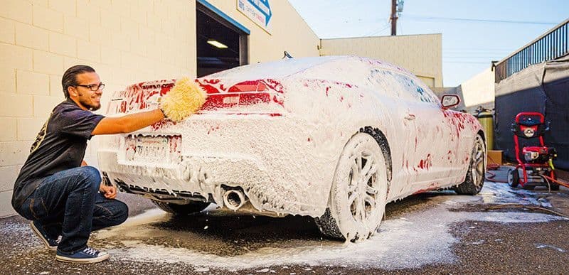 BEAR CLAW WASH MITT & PAD 2