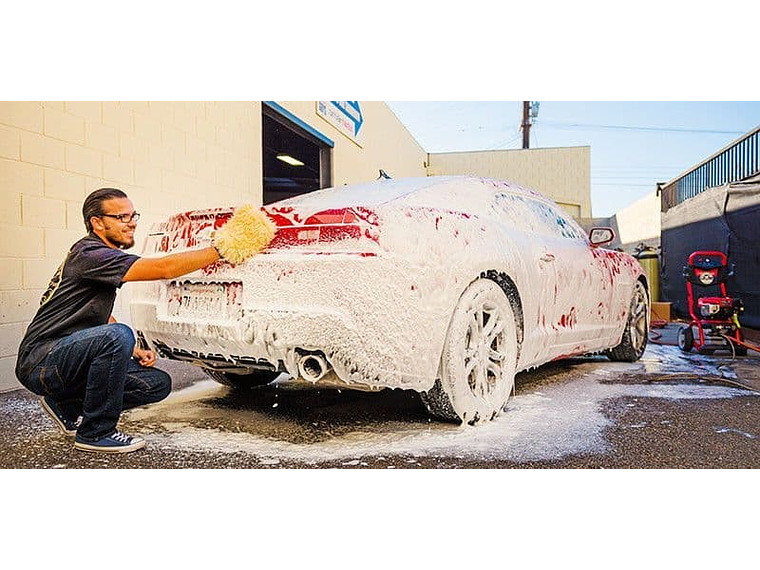 BEAR CLAW WASH MITT & PAD 2