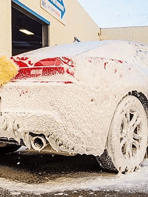 BEAR CLAW WASH MITT & PAD