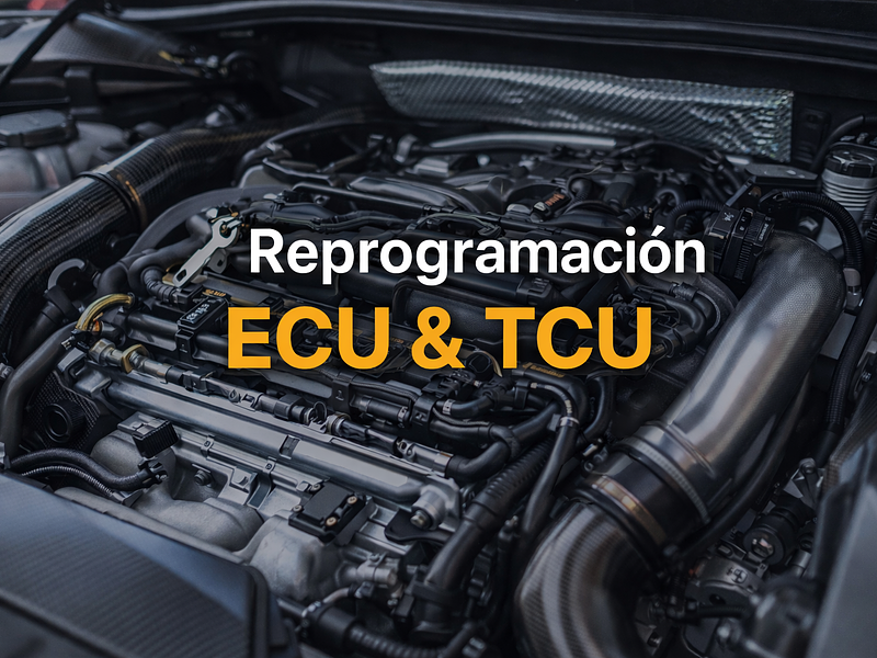 Reprogramación ECU & TCU
