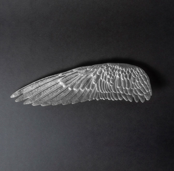 DECORATIVE WING PLATE- SILVER