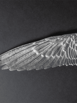 DECORATIVE WING PLATE- SILVER