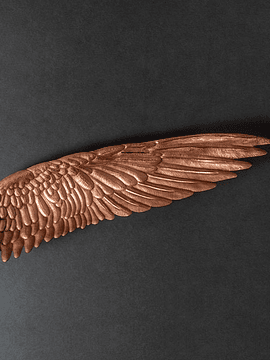 DECORATIVE WING PLATE- COPPER