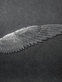 WING BOOKMARK