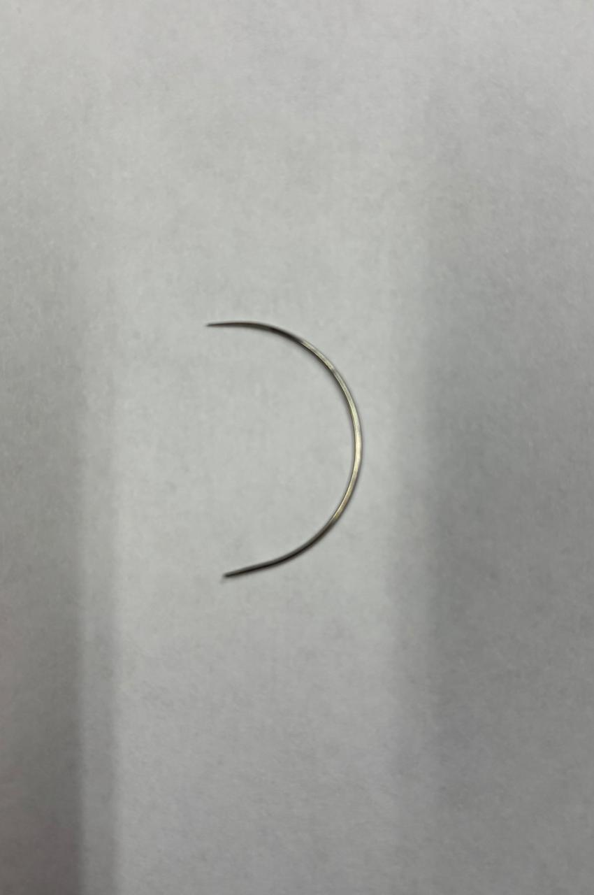 Aguja curva marina berts