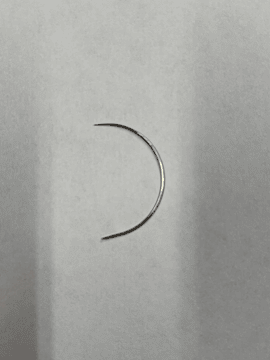 Aguja curva marina berts