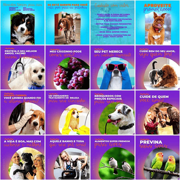 Pack Canva Pet Shop Templates Editáveis 200 Artes + Legendas 2