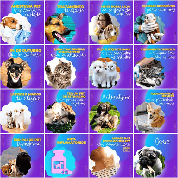 Pack Canva Pet Shop Templates Editáveis 200 Artes + Legendas 3