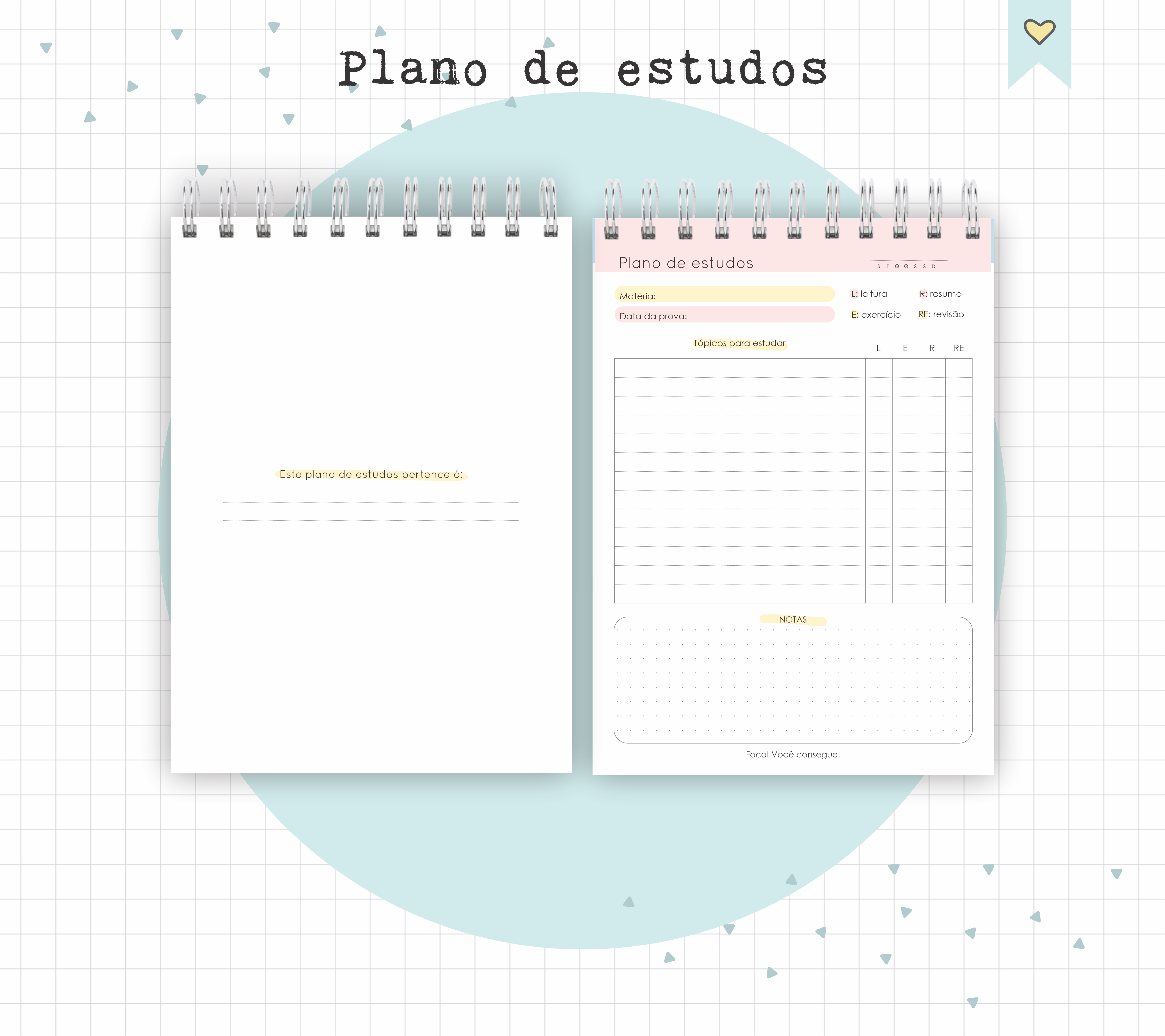 Arquivo Diário de Leituras e Planos de Estudo em Pdf 5