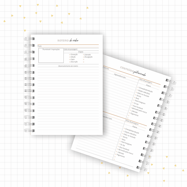Arquivo Planner Youtuber e Minhas Postagens 2024 em Pdf  5
