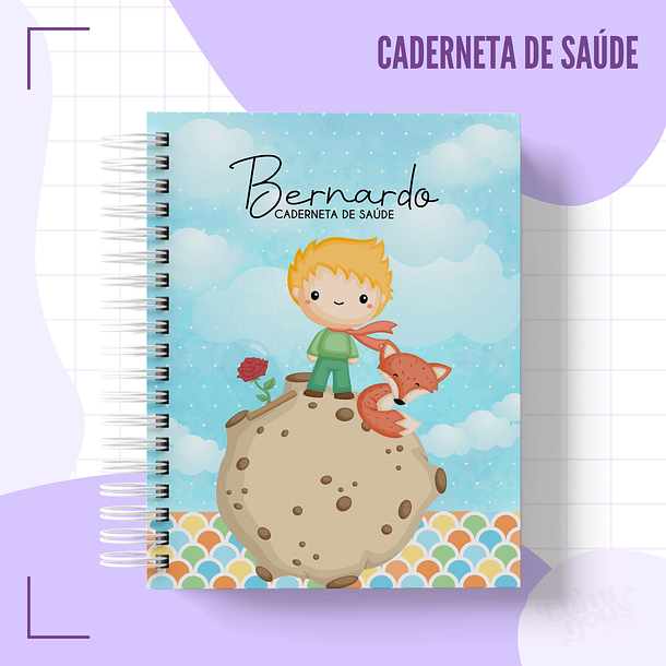 Arquivo Agendas Caderneta da Saúde em Pdf 7