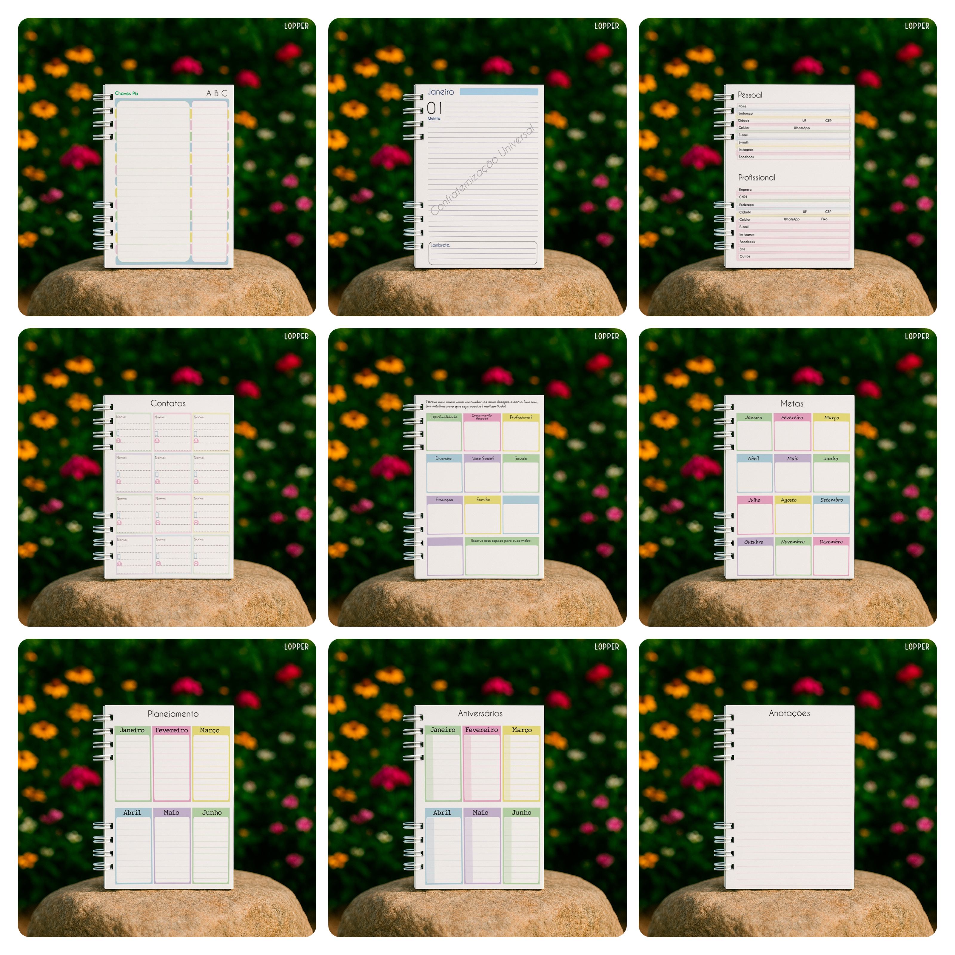 Arquivo Agenda Nossa Senhora Aparecida e Outro em Pdf  2