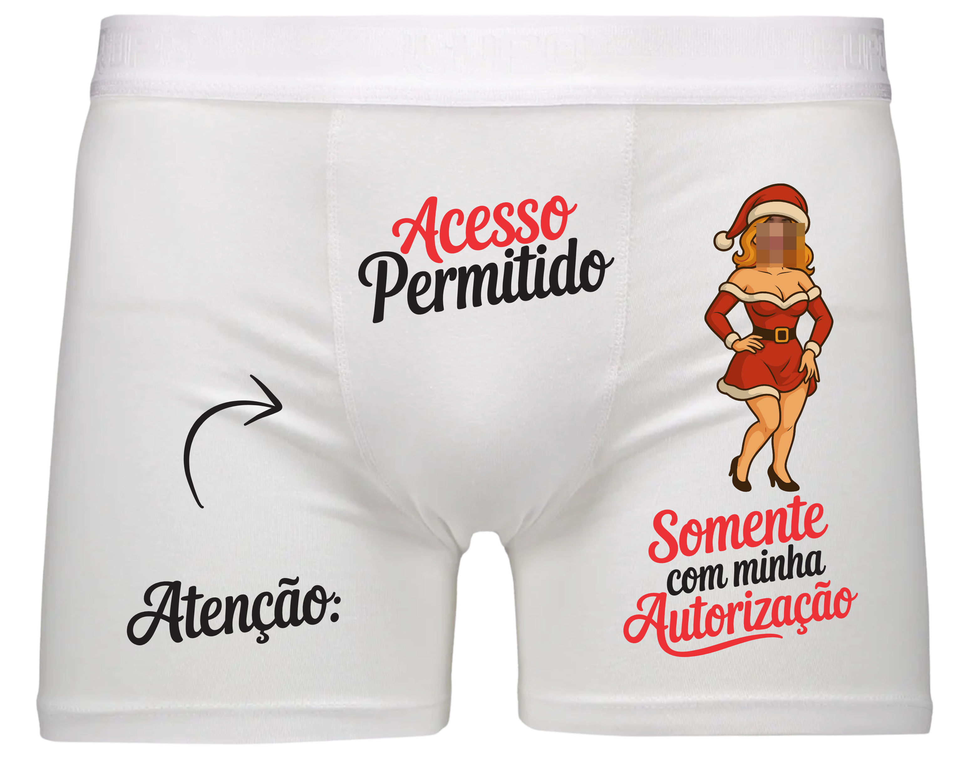 Arquivos para Cuecas Natalinas Arquivo Editável  10