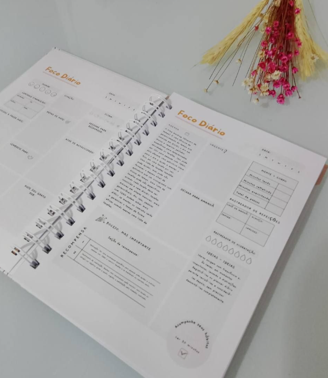 Arquivo Planner sem Caos - TDAH Arquivo em Pdf #3577 2