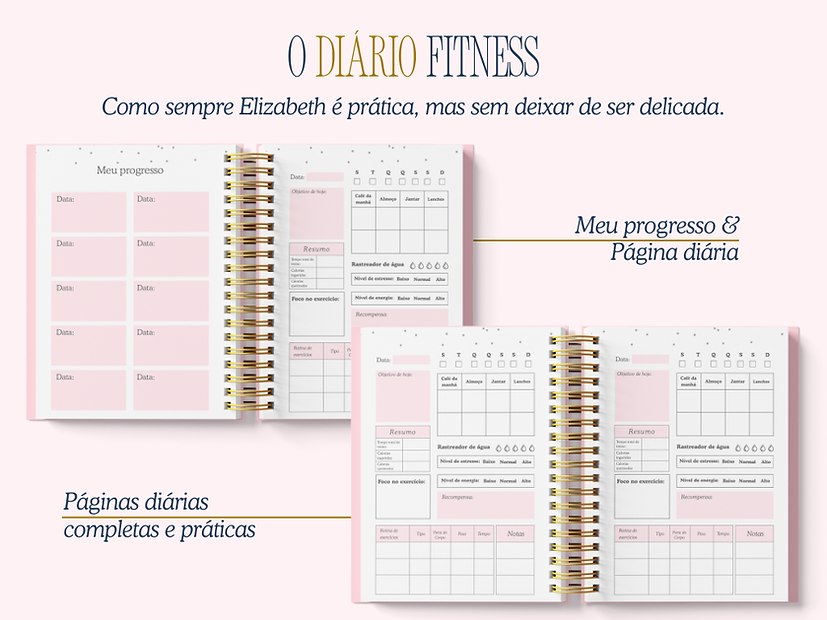 Arquivo Encadernação Diario da Elizabeth Arquivo em Pdf  4