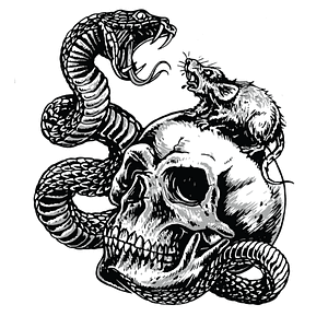 Trust No One Skull Rat Snake Mini Calcomania / Sticker Moto