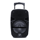 Parlante KARAOKE portátil bluetooth con luz led + microfono 1