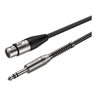 Cable de audio XLR H a Jacl 6.35 M 5 MTS 1