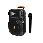 PARLANTE AMPLIFICADOR KARAOKE 12 L BT/MIC WLESS/USB/SD/FM 160W 2