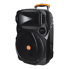 PARLANTE AMPLIFICADOR KARAOKE 12 L BT/MIC WLESS/USB/SD/FM 160W 4