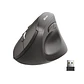 Mouse inalámbrico ergonómico 2.4G UTEK  - Miniatura 1