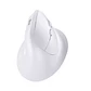 Mouse ergonómico inalámbrico 2.4gz + BT recargable Blanco  - Miniatura 1