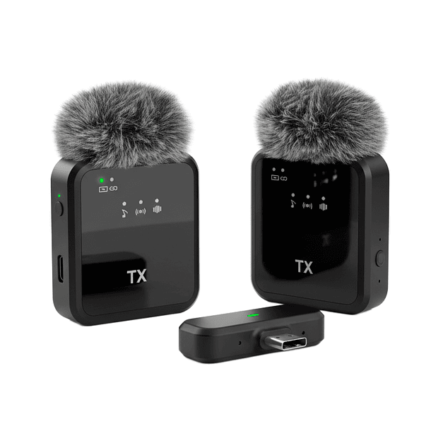 Microfono BT F-15 2  alto rendimiento tipo C  1