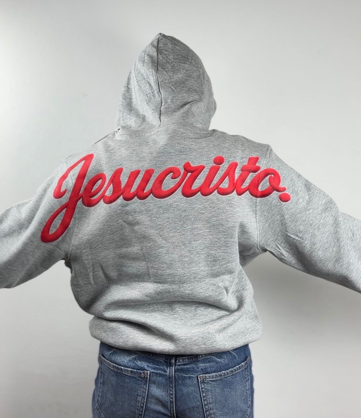 Polerón Hoddie Regular - Jesucristo 2