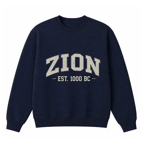 Polerón Crewneck Regular - Zion
