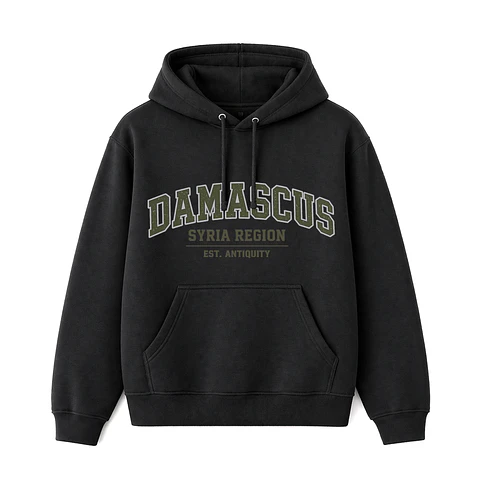 Polerón Hoddie Regular - Damascus