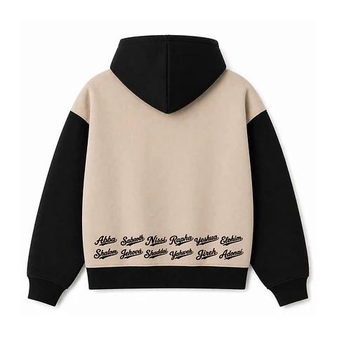 Polerón Hoddie Boxyfit Bicolor - Abba