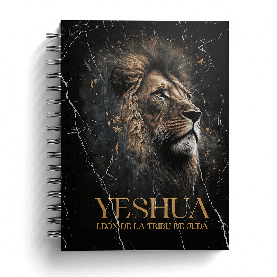 Cuaderno León Color Negro 1