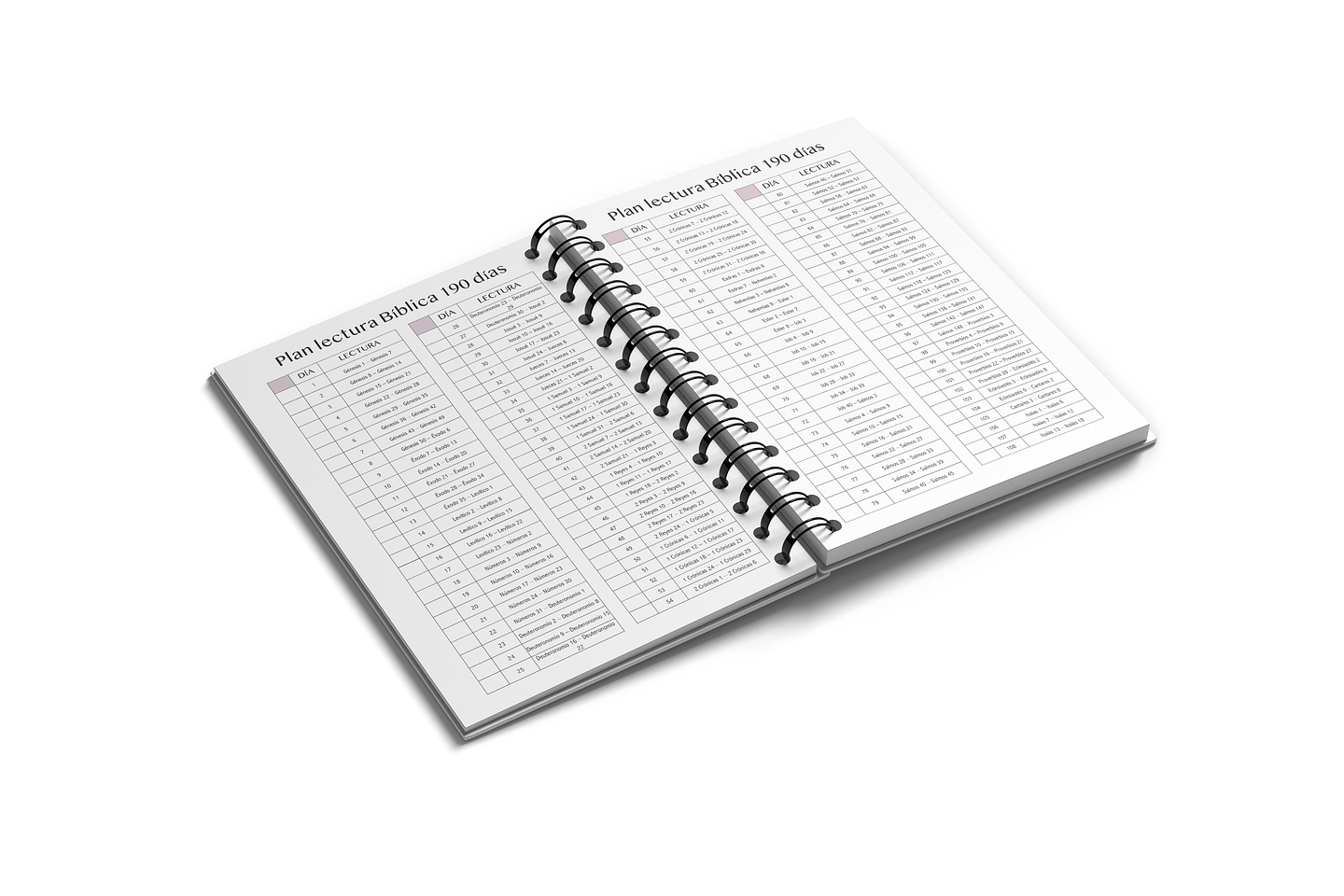 Íntimo Diario Devocional Líneas 3