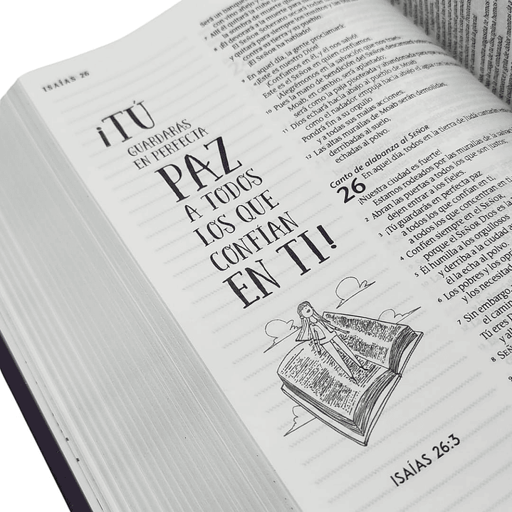 Biblia Inspira (con hermosas ilustraciones) 3