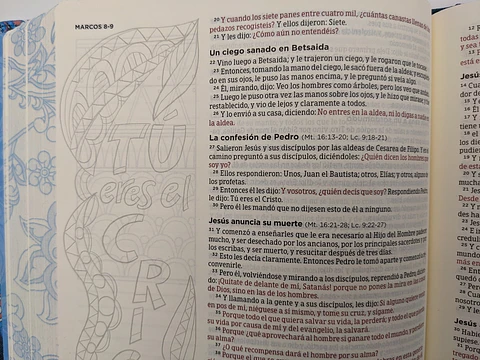 Biblia de Apuntes Edición Ilustrada RVR 1960 Personalizada