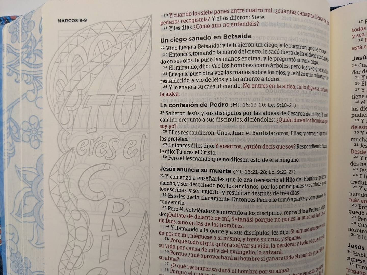 Biblia de Apuntes Edición Ilustrada RVR 1960 Personalizada 2