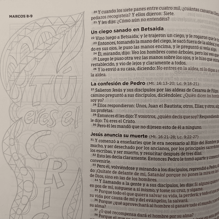 Biblia de Apuntes Edición Ilustrada RVR 1960 Personalizada 2