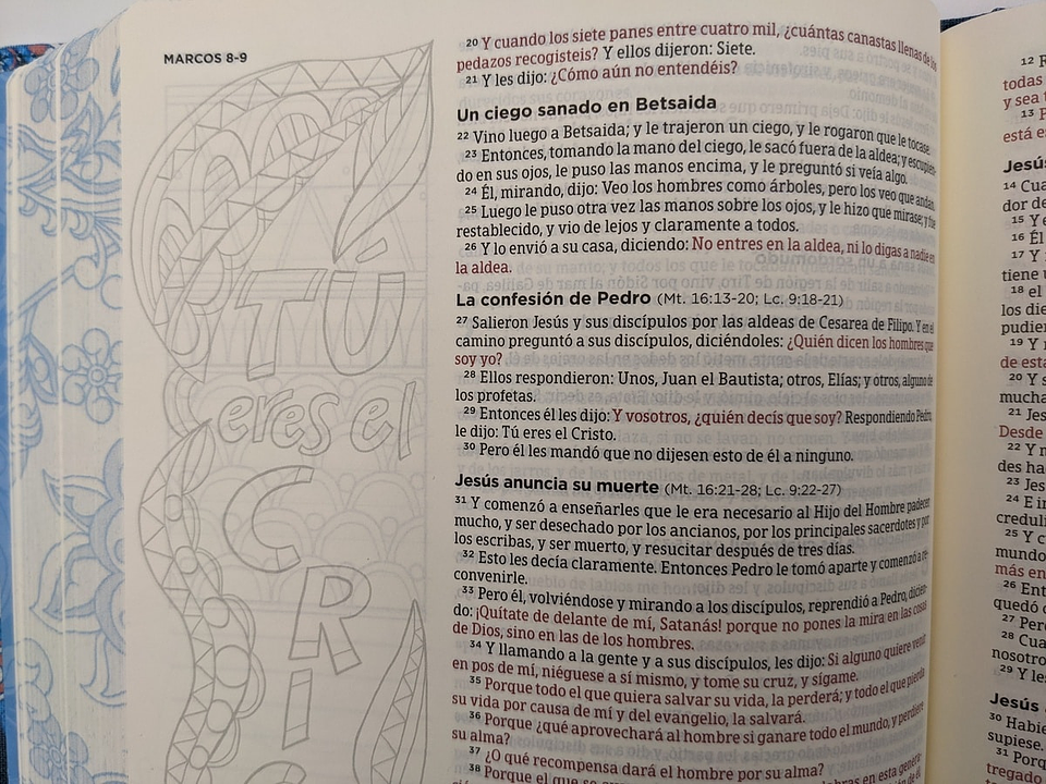 Biblia de Apuntes Edición Ilustrada RVR 1960 Personalizada 2