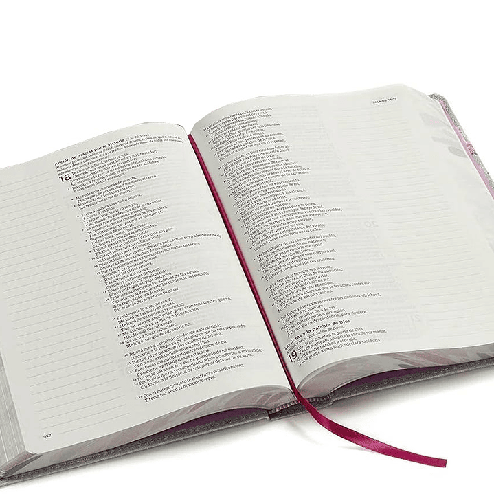 Biblia de Apuntes RVR 1960 Flores 2