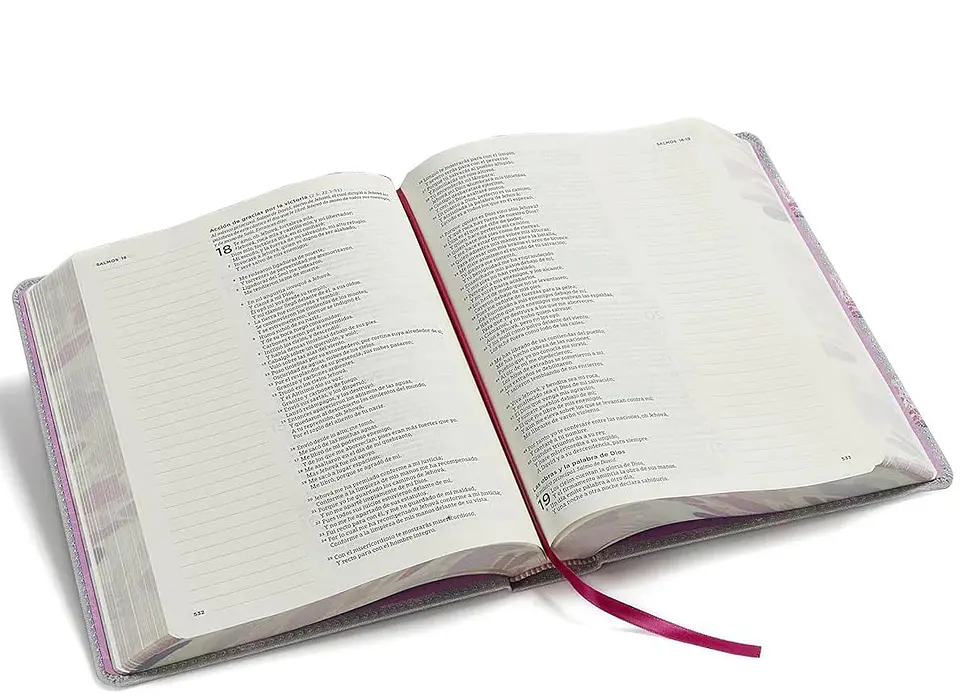 Biblia de Apuntes RVR 1960 Personalizada Con tu Diseño 2