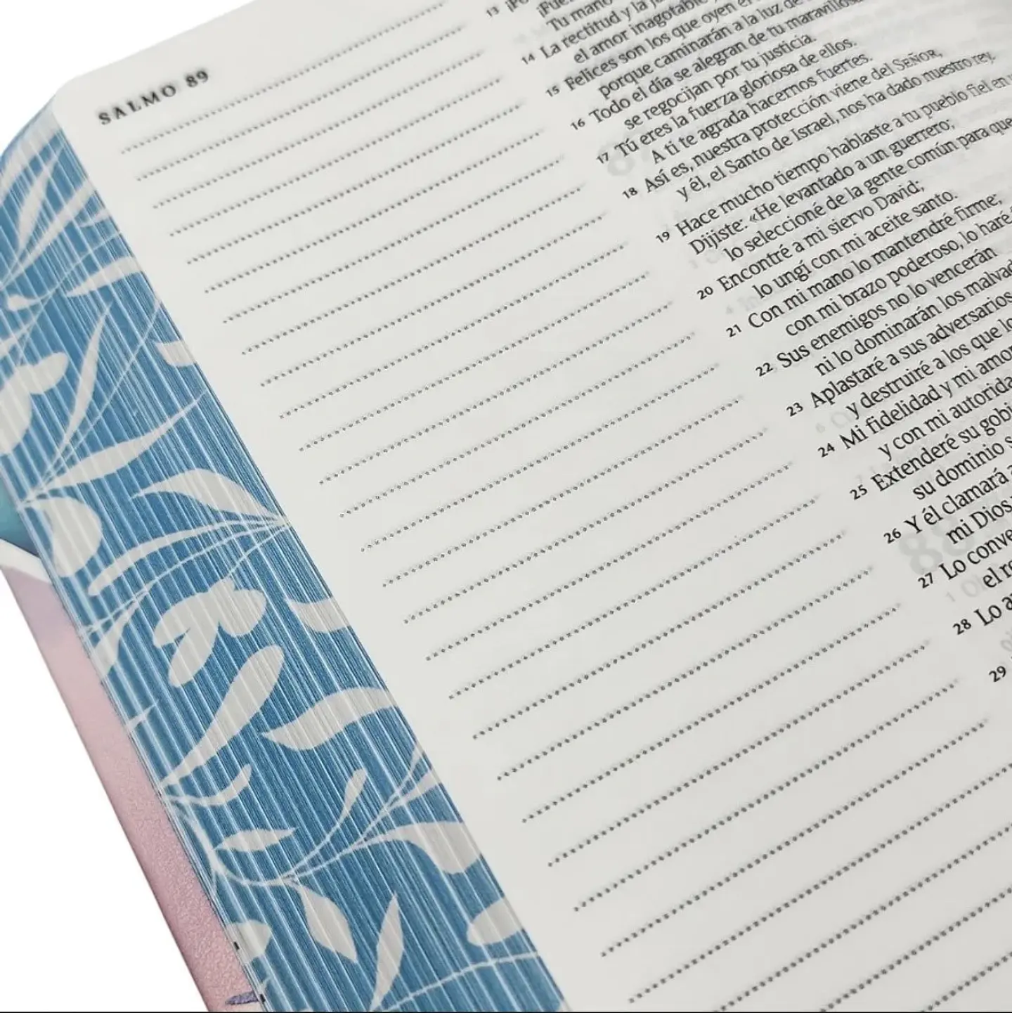 Biblia Inspira tapa blanda  (con hermosas ilustraciones) 3