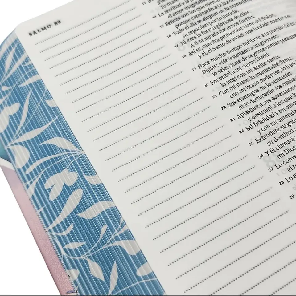 Biblia Inspira tapa blanda  (con hermosas ilustraciones) 3
